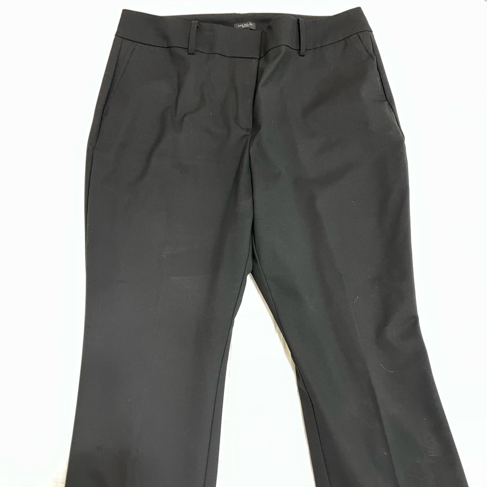 Ann Taylor Factory Work Trousers